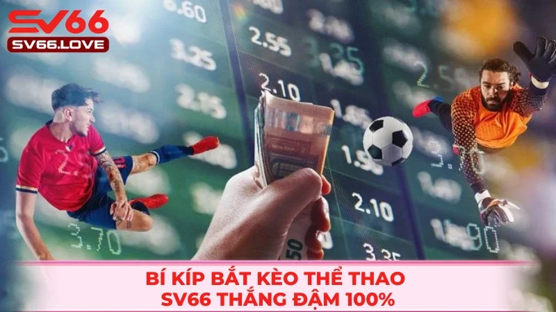 Thể Thao SV66 3 Tips xuống tiền bách chiến bách thắng