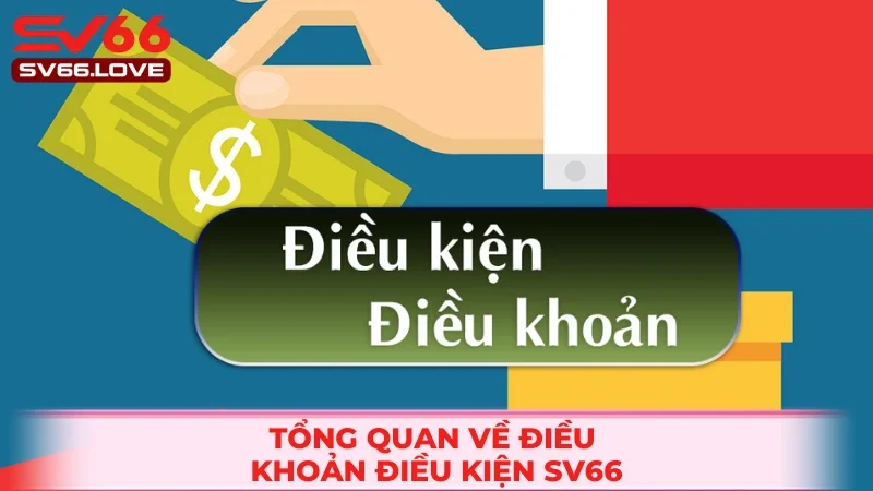 Điều Khoản Điều Kiện SV66 1 Vài nét về chính sách điều khoản tại nhà cái